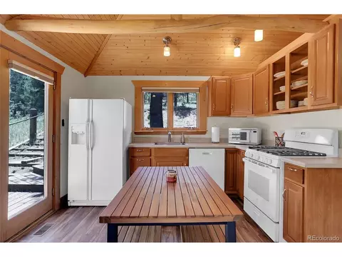 28310 S River Rd, Pine, CO 80470 photo 9