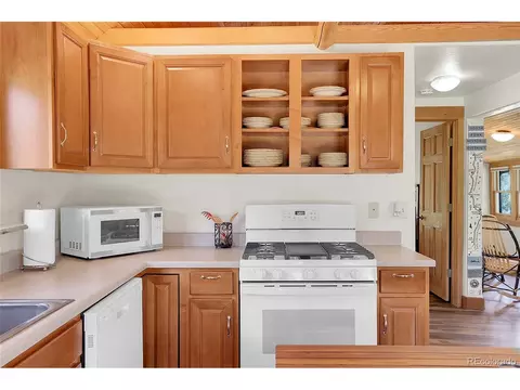 28310 S River Rd, Pine, CO 80470 photo 16