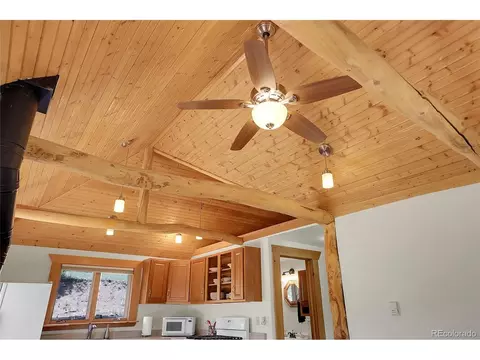 28310 S River Rd, Pine, CO 80470 photo 15