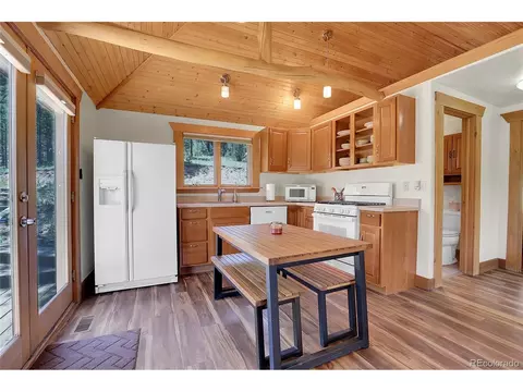 28310 S River Rd, Pine, CO 80470 photo 8