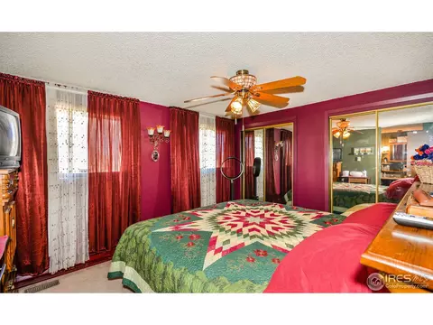 621 Cedar Ct, Windsor, CO 80550 photo 10