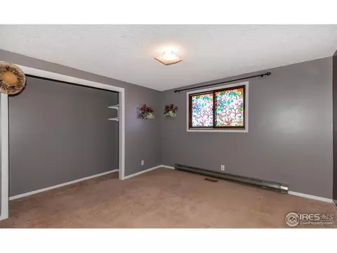 621 Cedar Ct, Windsor, CO 80550 photo 15