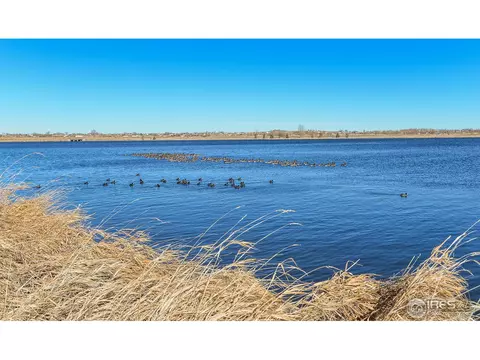 621 Cedar Ct, Windsor, CO 80550 photo 25