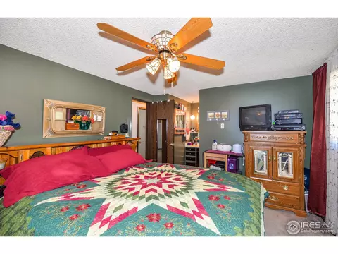 621 Cedar Ct, Windsor, CO 80550 photo 11