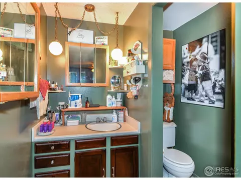 621 Cedar Ct, Windsor, CO 80550 photo 13