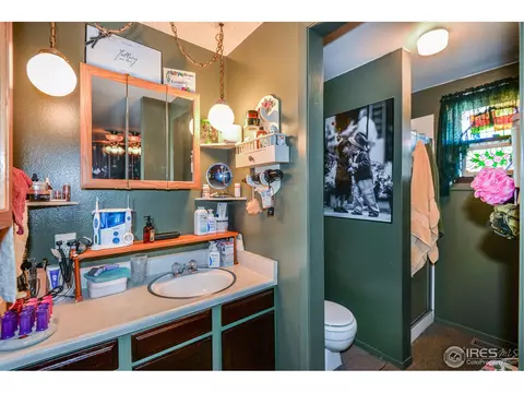 621 Cedar Ct, Windsor, CO 80550 photo 12