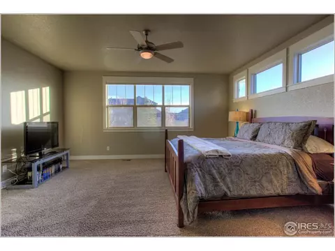 6771 Duncan Ct, Timnath, CO 80547 photo 15