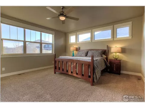6771 Duncan Ct, Timnath, CO 80547 photo 14