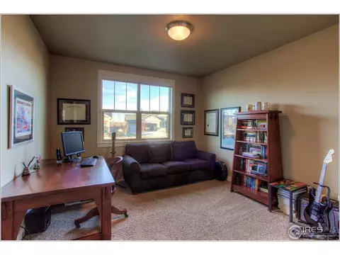 6771 Duncan Ct, Timnath, CO 80547 photo 19