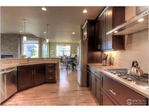 6771 Duncan Ct, Timnath, CO 80547 photo 11