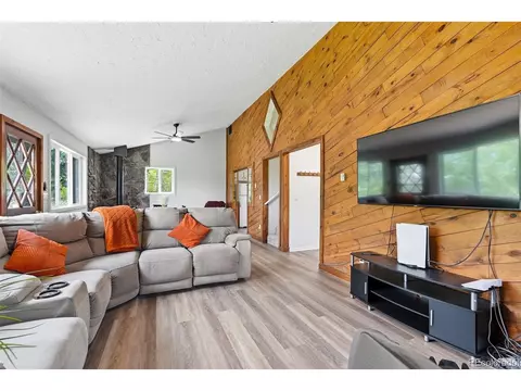 Living - 167 Pinon Rd, Bailey, CO 80421 photo 3 of 3