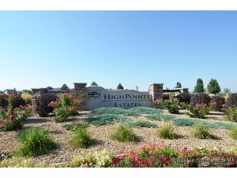 7830 Cherry Blossom Dr, Windsor, CO 80550 photo 3