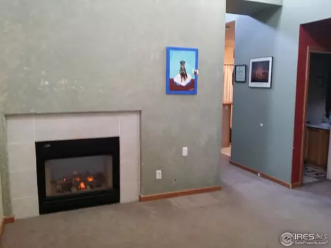 5261 Goshawk St, Brighton, CO 80601 photo 2