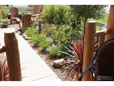 100 Bayside Cir, Windsor, CO 80550 photo 3