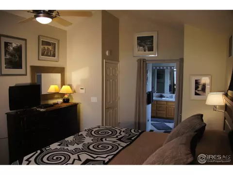 100 Bayside Cir, Windsor, CO 80550 photo 10