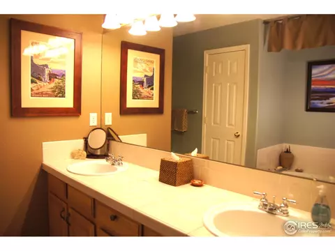 100 Bayside Cir, Windsor, CO 80550 photo 18