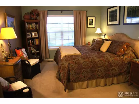 100 Bayside Cir, Windsor, CO 80550 photo 11