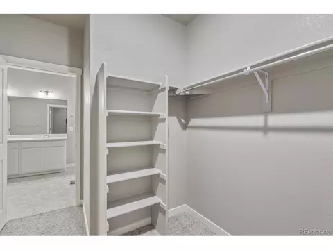 4542 Bishopsgate Dr, Windsor, CO 80550 photo 28