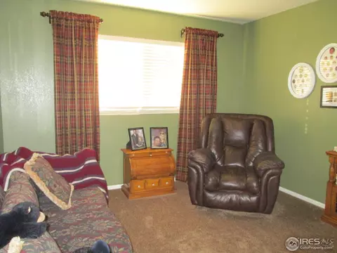 735 Apple Ct, Windsor, CO 80550 photo 23