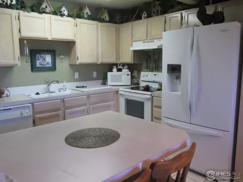 735 Apple Ct, Windsor, CO 80550 photo 10