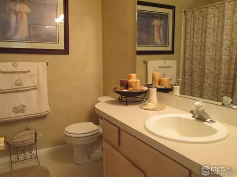 735 Apple Ct, Windsor, CO 80550 photo 25