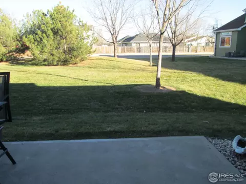 735 Apple Ct, Windsor, CO 80550 photo 4