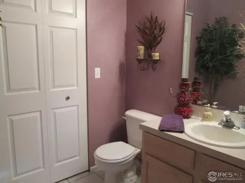 735 Apple Ct, Windsor, CO 80550 photo 16