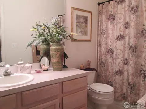 735 Apple Ct, Windsor, CO 80550 photo 21