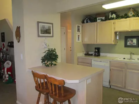735 Apple Ct, Windsor, CO 80550 photo 11