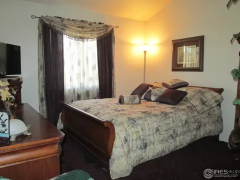735 Apple Ct, Windsor, CO 80550 photo 20