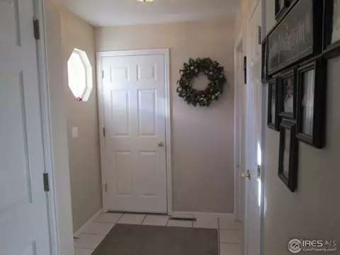 735 Apple Ct, Windsor, CO 80550 photo 8