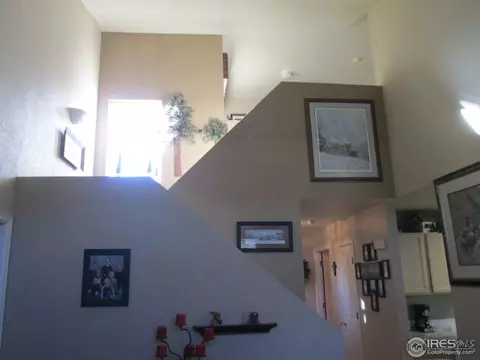 735 Apple Ct, Windsor, CO 80550 photo 13