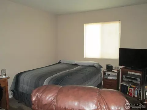 735 Apple Ct, Windsor, CO 80550 photo 24