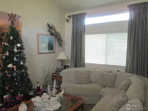 735 Apple Ct, Windsor, CO 80550 photo 18