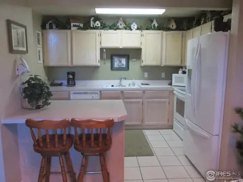 735 Apple Ct, Windsor, CO 80550 photo 9
