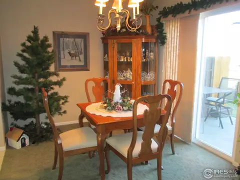735 Apple Ct, Windsor, CO 80550 photo 19