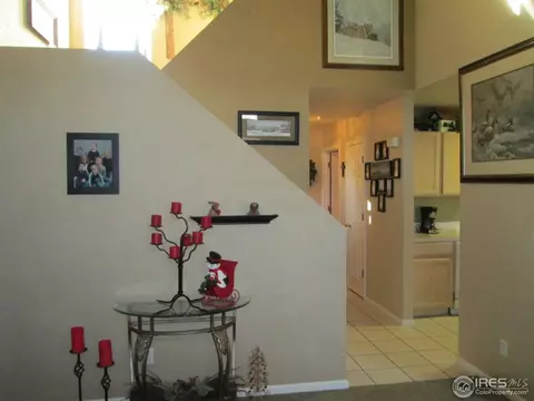 735 Apple Ct, Windsor, CO 80550 photo 12