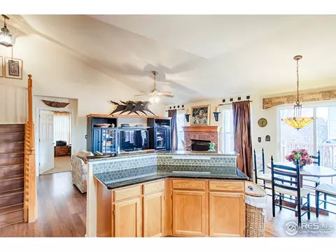3578 E 134th Pl, Thornton, CO 80241 photo 10