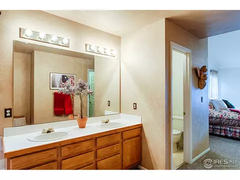 3578 E 134th Pl, Thornton, CO 80241 photo 14