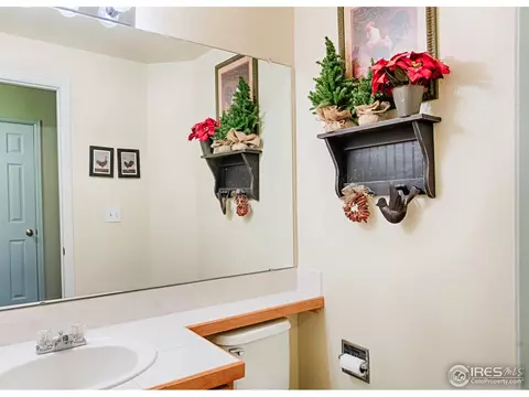 3578 E 134th Pl, Thornton, CO 80241 photo 15