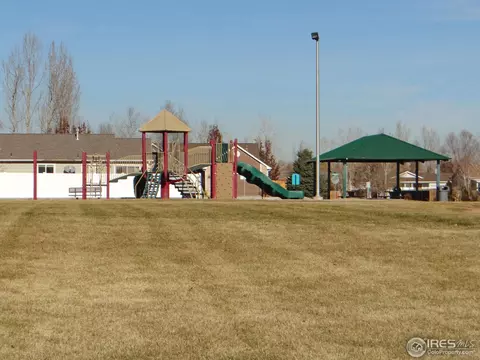 321 E Mountain Ash St, Milliken, CO 80543 photo 24