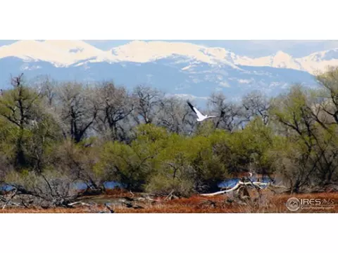 370 Mayeda, Brighton, CO 80601 photo 7