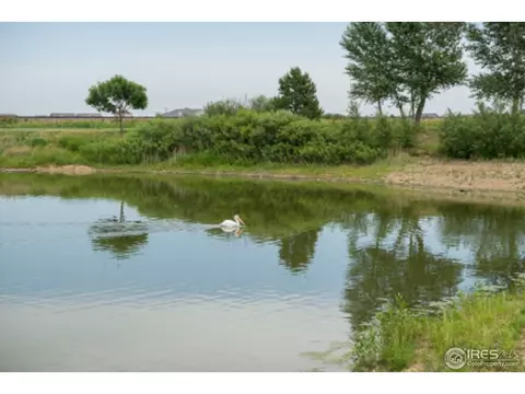 874 Saddleback Dr, Milliken, CO 80543 photo 3