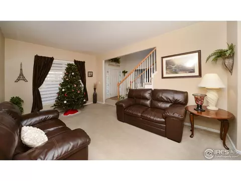 2802 E 136th Pl, Thornton, CO 80602 photo 5