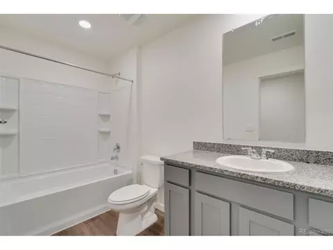 714 N Allium St, Watkins, CO 80137 photo 23