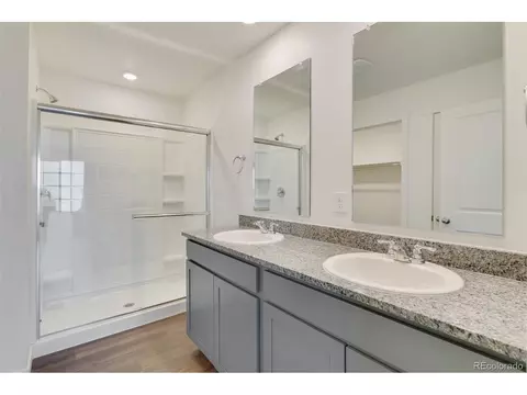 714 N Allium St, Watkins, CO 80137 photo 19