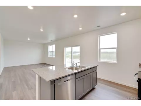 714 N Allium St, Watkins, CO 80137 photo 11
