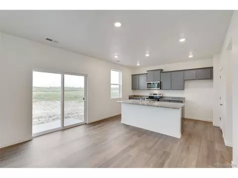 714 N Allium St, Watkins, CO 80137 photo 7