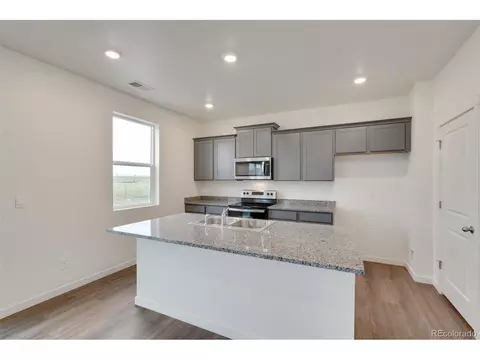 714 N Allium St, Watkins, CO 80137 photo 8
