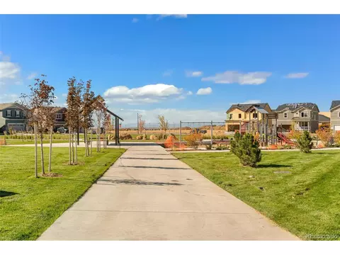 714 N Allium St, Watkins, CO 80137 photo 30